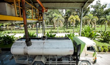 Mengenal Tiga Generasi Bioenergi Berbasis Sawit