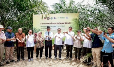 PELEPASAN SERANGGA PENYERBUK ASAL TANZANIA: POLINATOR ALAMI UNTUK MENUJU GENERASI BARU KELAPA SAWIT INDONESIA