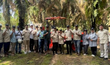 Dukung Inovasi Perkebunan, BPDP Fasilitasi Pengembangan Traktor Otonom Pemupuk Sawit