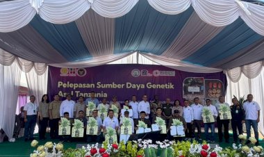 Perkuat Produktivitas dan Masa Depan Sawit Nasional, BPDP Dukung Pelepasan Bibit Sawit Unggul Asal Tanzania