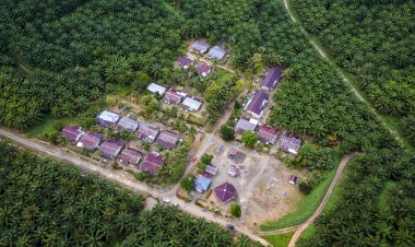 Opini Publik: Sawit dan Masa Depan Nagan Raya