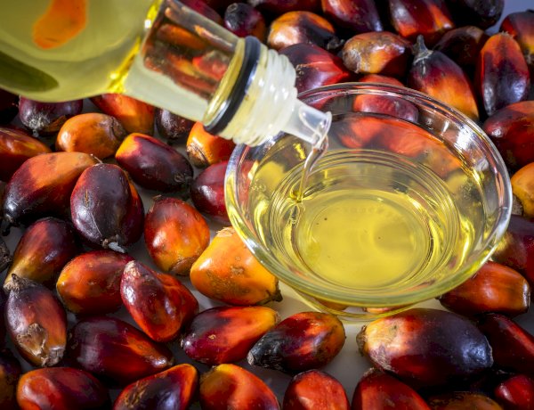 Indonesian Palm Oil on India Market: Sustainable and Reliable