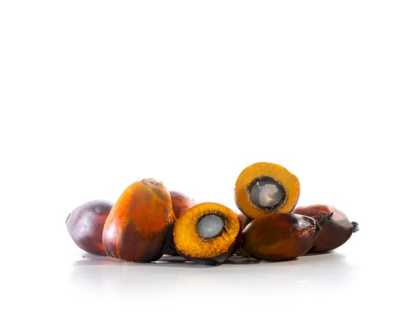 Kelapa Sawit Jadi Solusi Kebutuhan Minyak Nabati Global