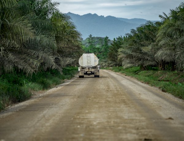 Peran Strategis Perkebunan Kelapa Sawit Kurangi Emisi Gas Rumah Kaca