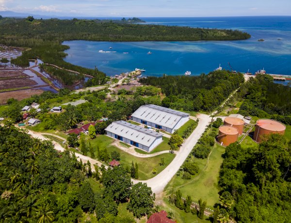 Penggunaan Produk Kelapa Sawit Kurangi Emisi Gas Rumah Kaca