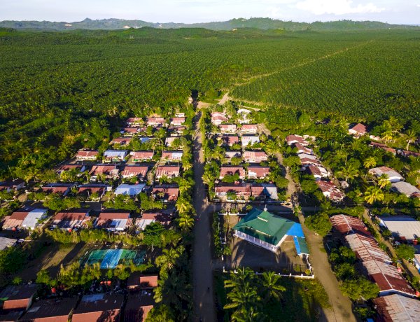 Minyak Sawit sebagai Solusi atas Tantangan Keberlanjutan Global