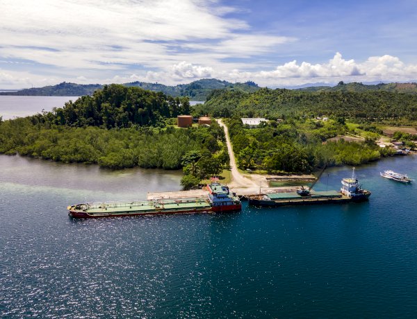 Manfaat Minyak Sawit Ciptakan Lapangan Kerja di Negara Importir