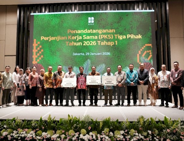 BPDP Percepat Program Peremajaan Sawit Rakyat, Targetkan 50.000 Hektare pada 2026
