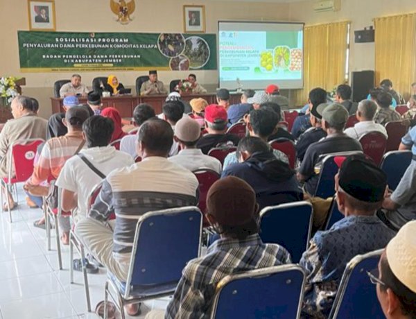 Kota Jember: Potensi Pengembangan Komoditas Perkebunan Kelapa Pada Sektor Hulu