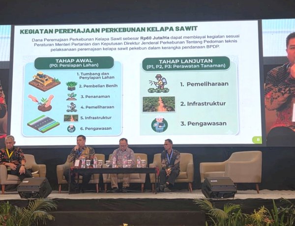 Komitmen BPDP Perkuat Ekosistem Industri Perkebunan Kelapa Sawit Melalui Percepatan Program PSR dan SPPKS