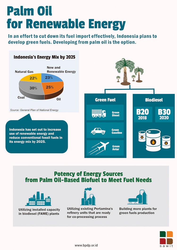 Palm Oil for Renewable Energy