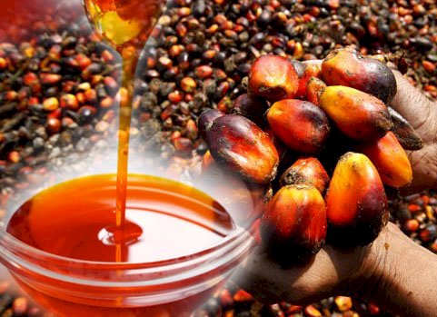 Red Palm Oil as Source of Vitamins for Combating COVID-19