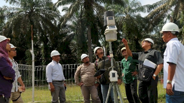 Study on Water Footprint Shows Oil Palm Plantations Not A Threat to Water Sources