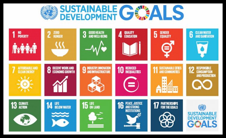 Studies on the Role of Vegetable Oil in Achieving SDGs Deemed Necessary