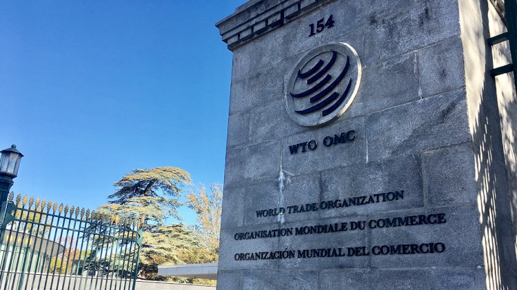 WTO Kabulkan Permohonan Indonesia Bentuk Panel Terkait Sawit