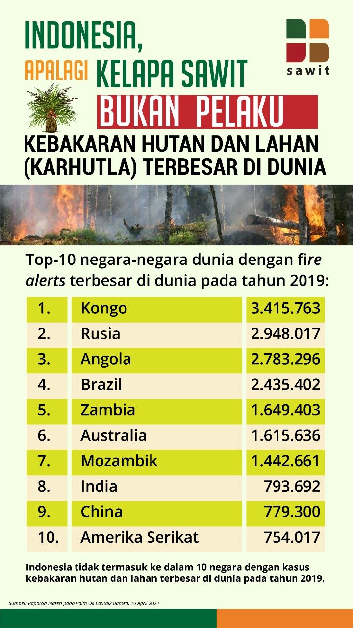 Top 10 Negara dengan Kebakaran Hutan dan Lahan (Karhutla) di Dunia: Indonesia Tidak Termasuk