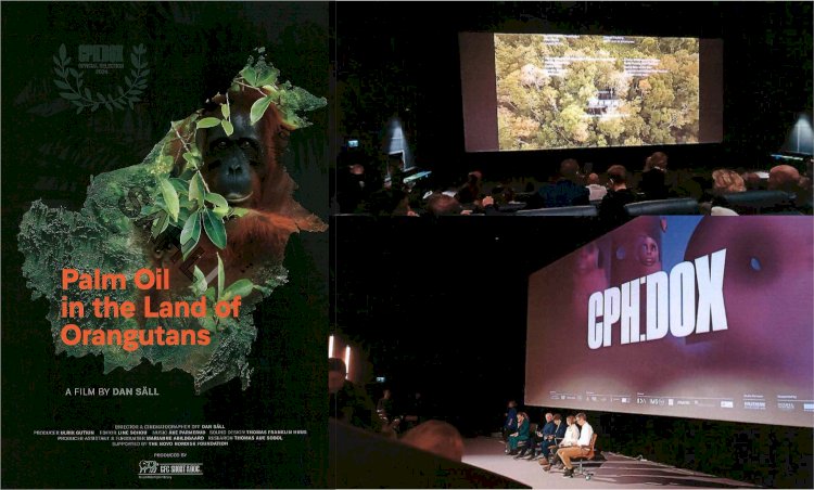 Film Denmark “Palm Oil in The Land of Orangutans” Satwa dan Sawit Bisa Hidup Berdampingan