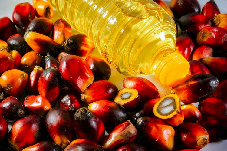 Kandungan Vitamin A dan E pada Minyak Sawit Dapat Mencegah Stunting