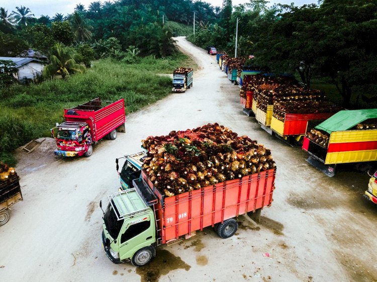 Setidaknya Terdapat 7 Manfaat Implementasi Kebijakan Mandatori Biodiesel di Indonesia