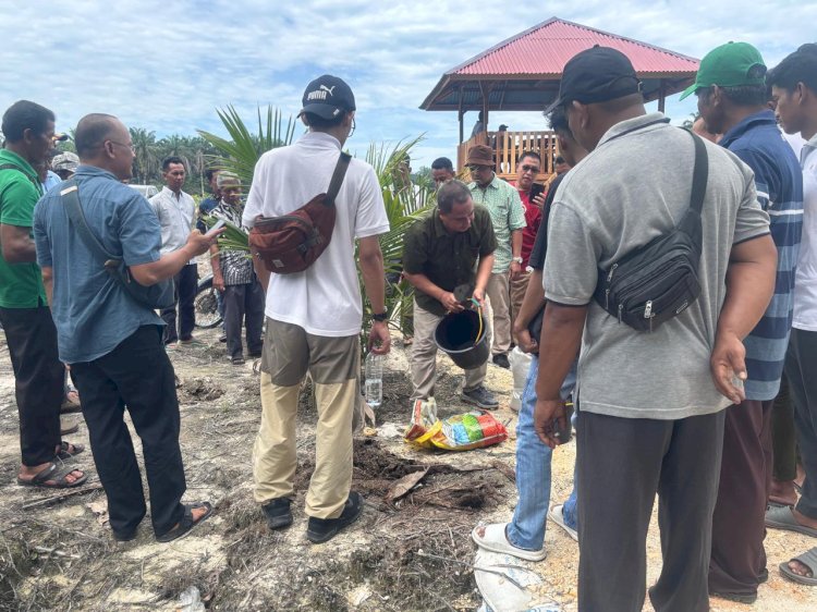 Wujudkan Ekonomi Hijau, Aspekpir dan BPDP Praktikkan Pembuatan Biochar dari Tandan Kosong Sawit