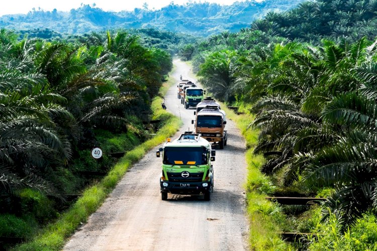 Kontribusi Industri Sawit dalam Pembangunan Pilar Ekonomi dan Sosial Indonesia