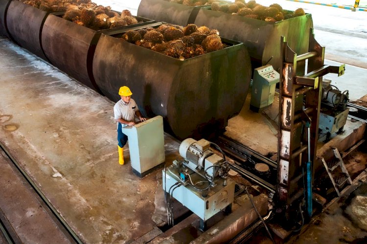 Memanfaatkan Biodiesel Konsentrasi Tinggi pada Sektor Maritim