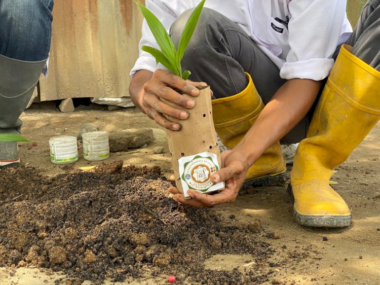 Paper Bag Biodegradable dari Pulp Tandan Kosong Kelapa Sawit Jadi Inovasi Ramah Lingkungan