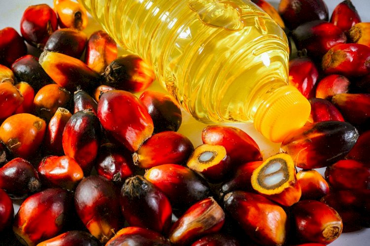 Konsumen Minyak Sawit Terbesar Dunia, Begini Peran Minyak Sawit bagi India