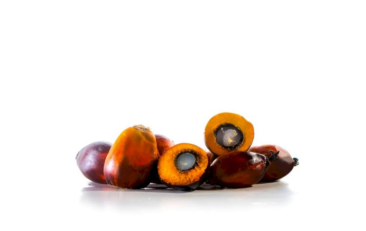 Kelapa Sawit, Minyak Nabati Dunia Bergelar Superfood bagi Kesehatan