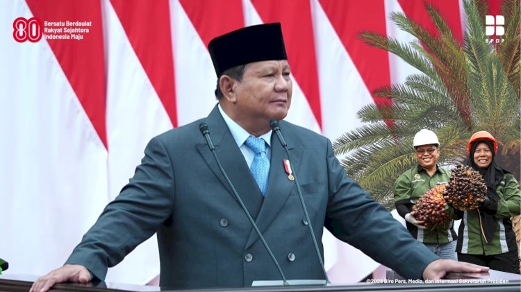 BPDP Dukung Langkah Pemerintah Jaga Stabilitas Pasar dan Perkuat Tata Kelola Sawit