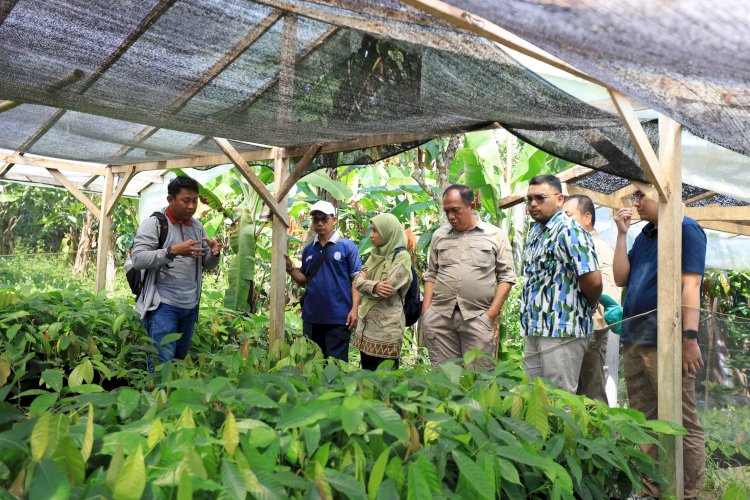 BPDP Gelar Kegiatan Koordinasi untuk mendukung Program Peremajaan Kakao Rakyat (PAKAR) di Provinsi Sulawesi Tengah
