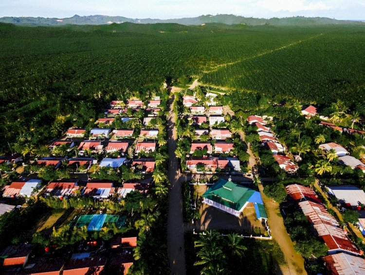 Peran Strategis Industri Sawit dalam Pembangunan Ekonomi Daerah
