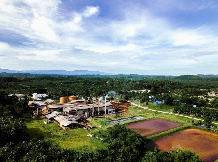 Dampak Positif Perkebunan Kelapa Sawit ke Ekonomi Riau