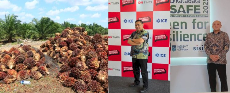 Hulu hingga Hilir: Mewujudkan Sawit yang Berkelanjutan
