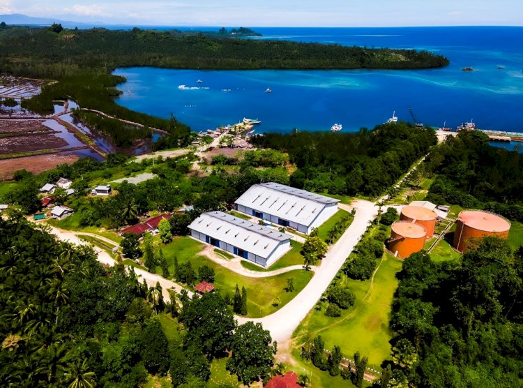 Kawasan ASEAN Sebagai Pusat Minyak Sawit Dunia