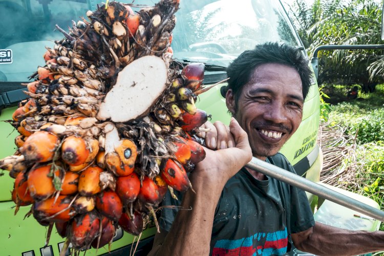 Peningkatan Kompetensi SDM di Industri Sawit Nasional