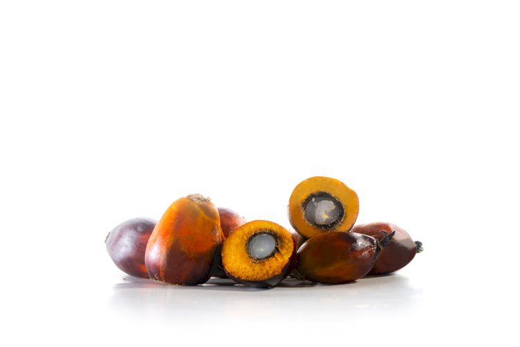 Mengoptimalkan Potensi Vitamin A dari Minyak Sawit