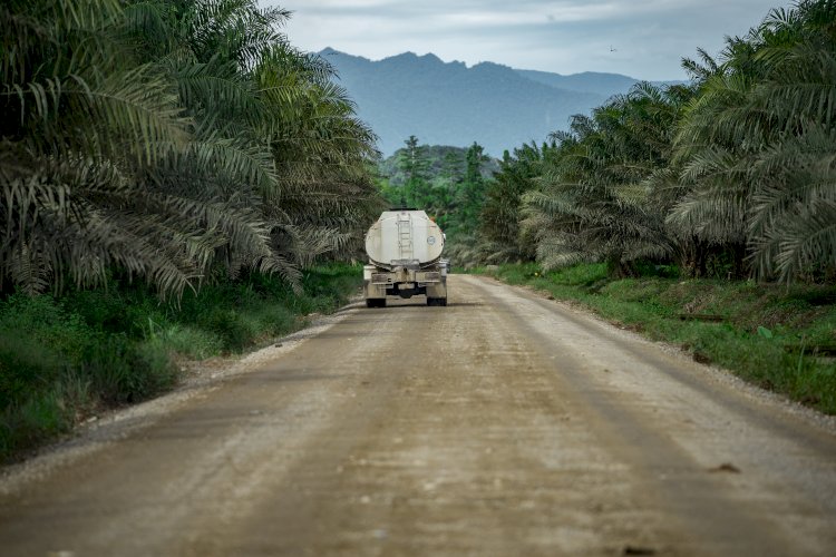 Peran Strategis Perkebunan Kelapa Sawit Kurangi Emisi Gas Rumah Kaca