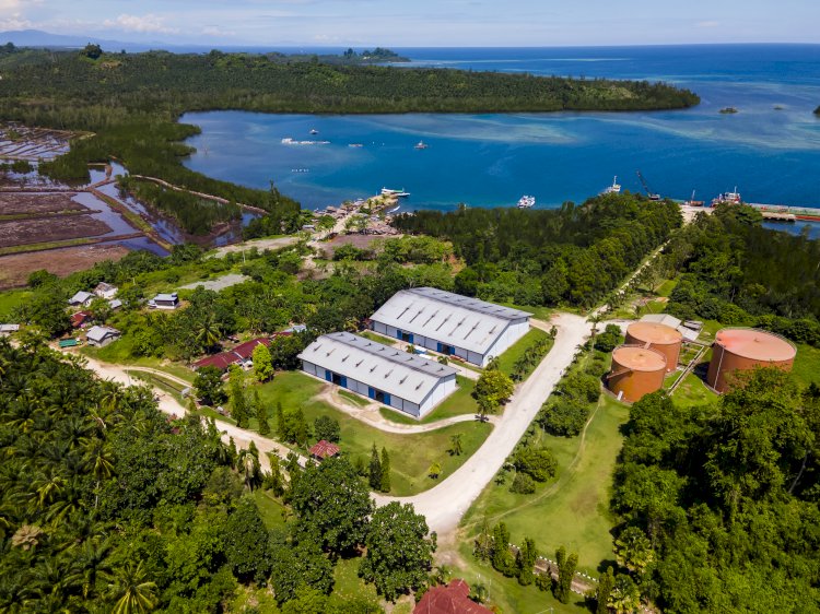 Penggunaan Produk Kelapa Sawit Kurangi Emisi Gas Rumah Kaca