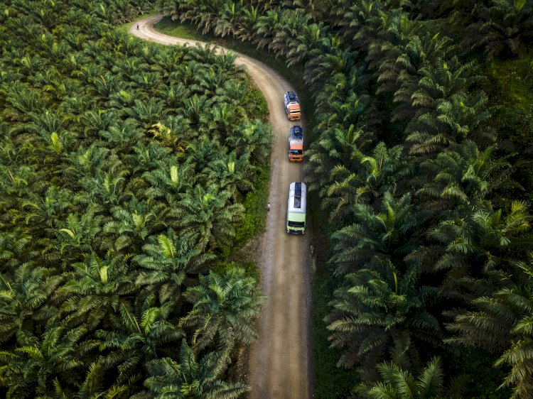 Dampak Positif Program Mandatori Biodiesel bagi Perekonomian