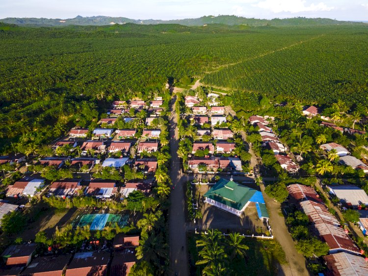 Minyak Sawit sebagai Solusi atas Tantangan Keberlanjutan Global