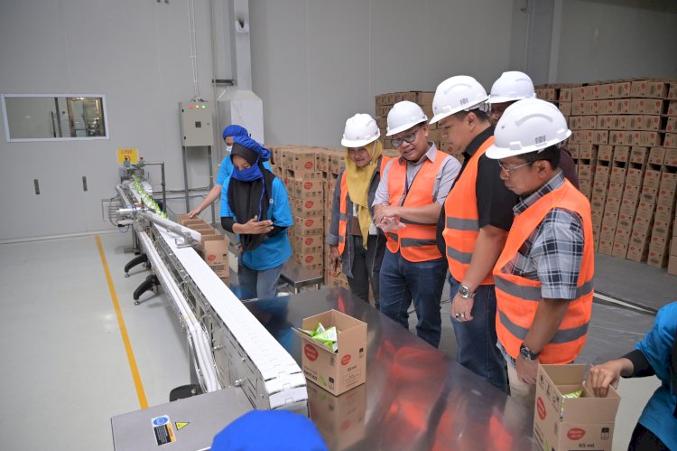 Sinergi Pengembangan Perkebunan Kelapa, BPDP Kunjungi Pabrik PT NICO di Halmahera Utara