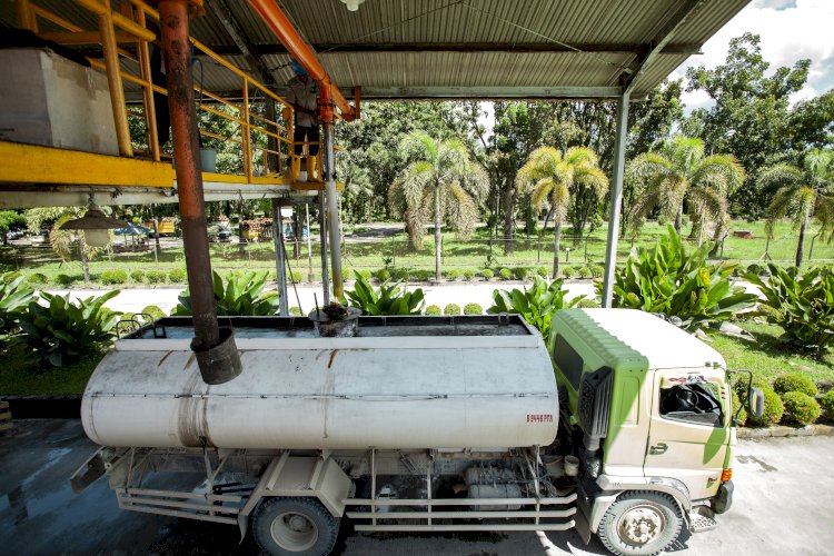 Mengenal Tiga Generasi Bioenergi Berbasis Sawit