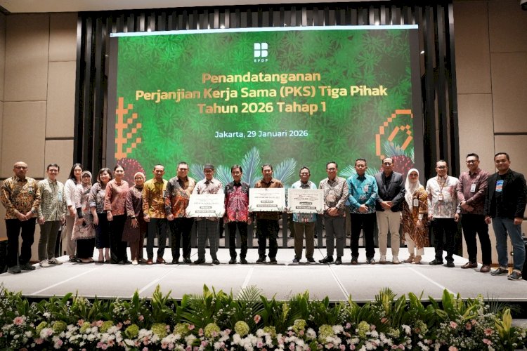 BPDP Percepat Program Peremajaan Sawit Rakyat, Targetkan 50.000 Hektare pada 2026