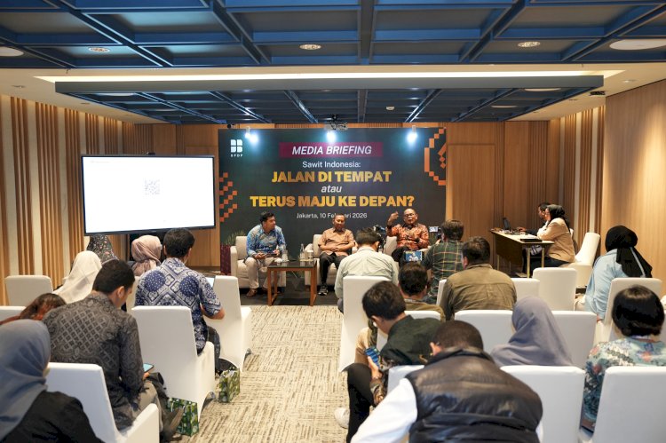 Peningkatan Produktivitas Sawit, Kunci Keberlanjutan Ekonomi Nasional