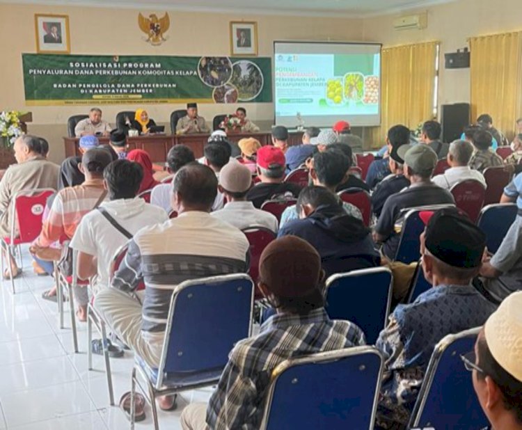 Kota Jember: Potensi Pengembangan Komoditas Perkebunan Kelapa Pada Sektor Hulu