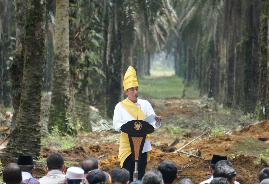 Jokowi Minta Percepat Penerbitan Sertifikat Lahan Sawit Rakyat