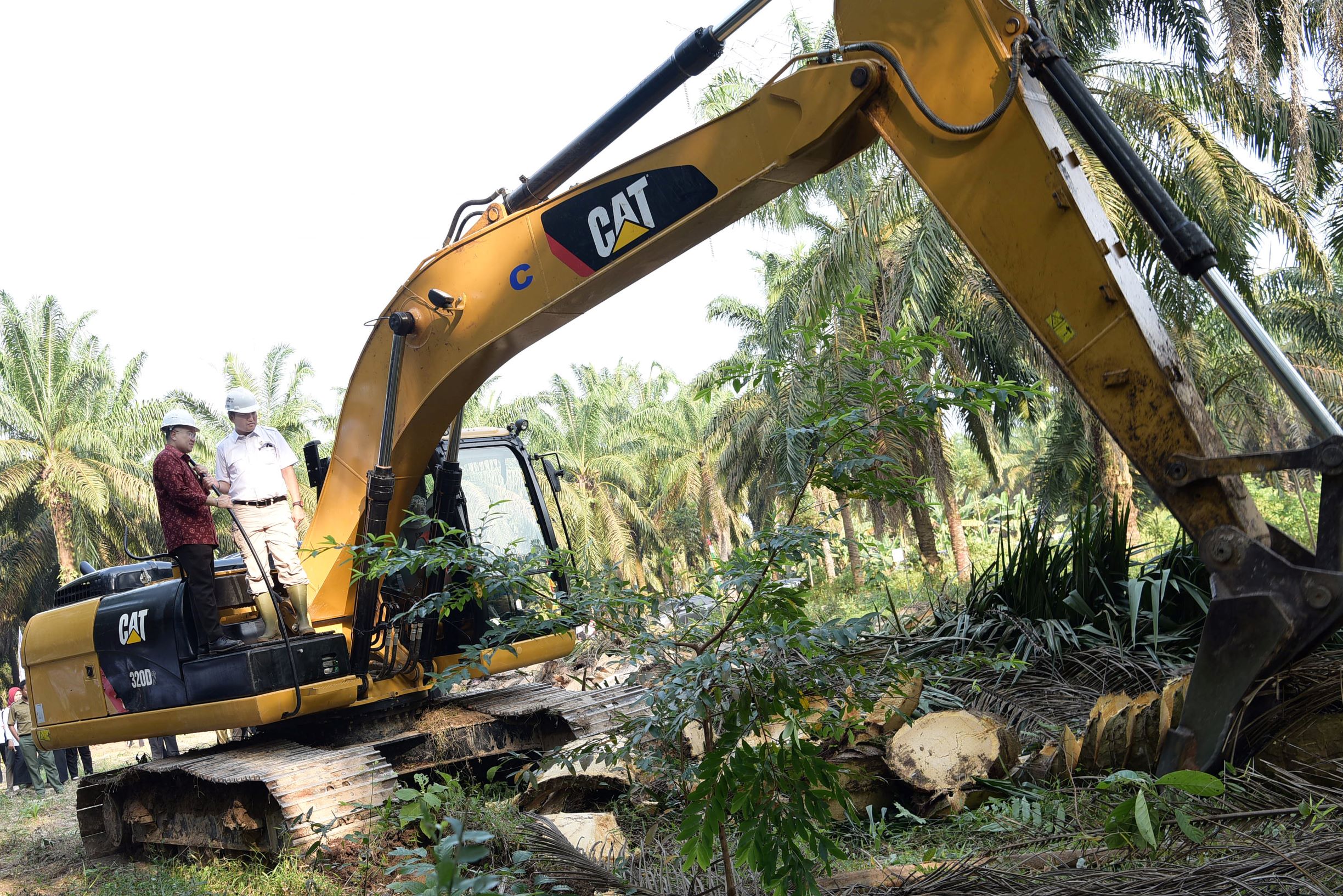Tumbang Chipping-Musi Banyuasin-1