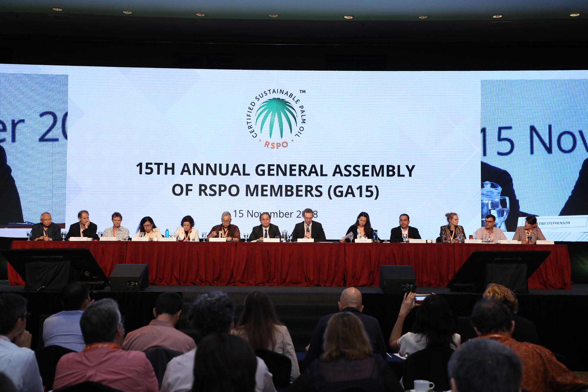 RSPO Agree in New Palm Oil Standard to Halt Deforestation and Improve Human Rights Protection