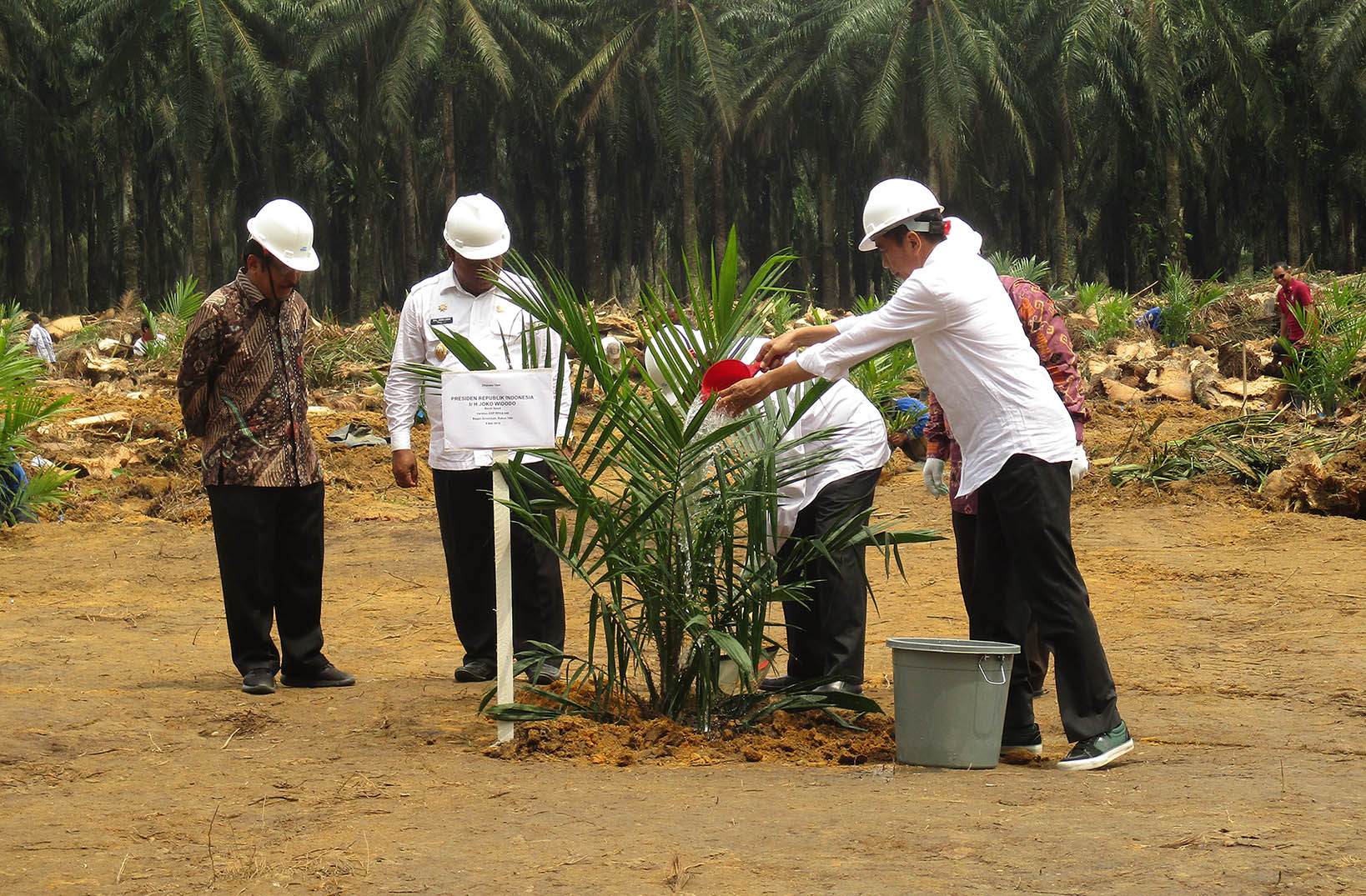 BPDPKS Invites to Improve Data of Indonesian Palm Oil